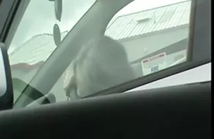 Թաքնված տեսախցիկ լավագույն անվճար սեքս մինչ ուսուցչուհին գրասեղանի տակ