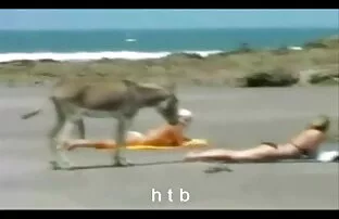 Ասիական եվրոպական Էշլի Բարբի տիկնիկ ԲՀԿ-ն կապել են սեւ տղամարդու հետ