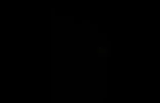 -աղջիկը հարցրեց շան նման, իսկ հետո թվաց իր էշի երջանիկ պոռնո վրա