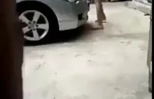 Մեծ տղամարդ դաջվածքով, ծեծով, ճապոնուհի, դժոխք պոռնո 69-ից հետո, 69-ից հետո