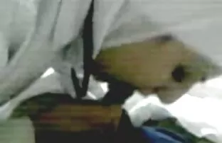 Հետք տրոլեյբուս պոռնո քանդել